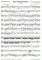 Klarinettenkonzert - Es-moll - Blasorchester - Solo Klarinette